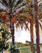 Joaquin Sorolla Palm oil painting picture wholesale
